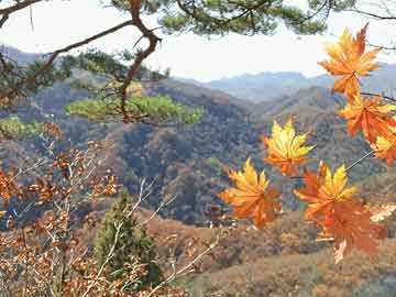 晉陽湖新規(guī)劃揭曉，重塑城市生態(tài)與人文魅力