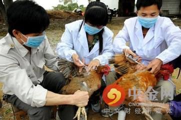 全球關(guān)注H7N9禽流感最新疫情及應(yīng)對策略