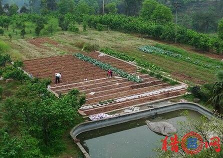 「最新家庭農(nóng)場名字大全，揭示背后的理念與發(fā)展趨勢」