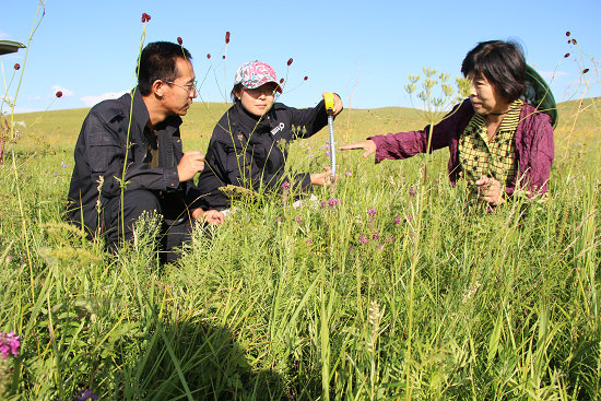 蒙草生態(tài)最新診斷