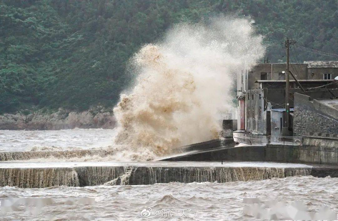 浙江臺(tái)風(fēng)最新動(dòng)態(tài)，影響及應(yīng)對(duì)策略全面解析