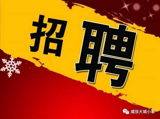 莘縣會計招聘信息更新與行業(yè)趨勢深度剖析