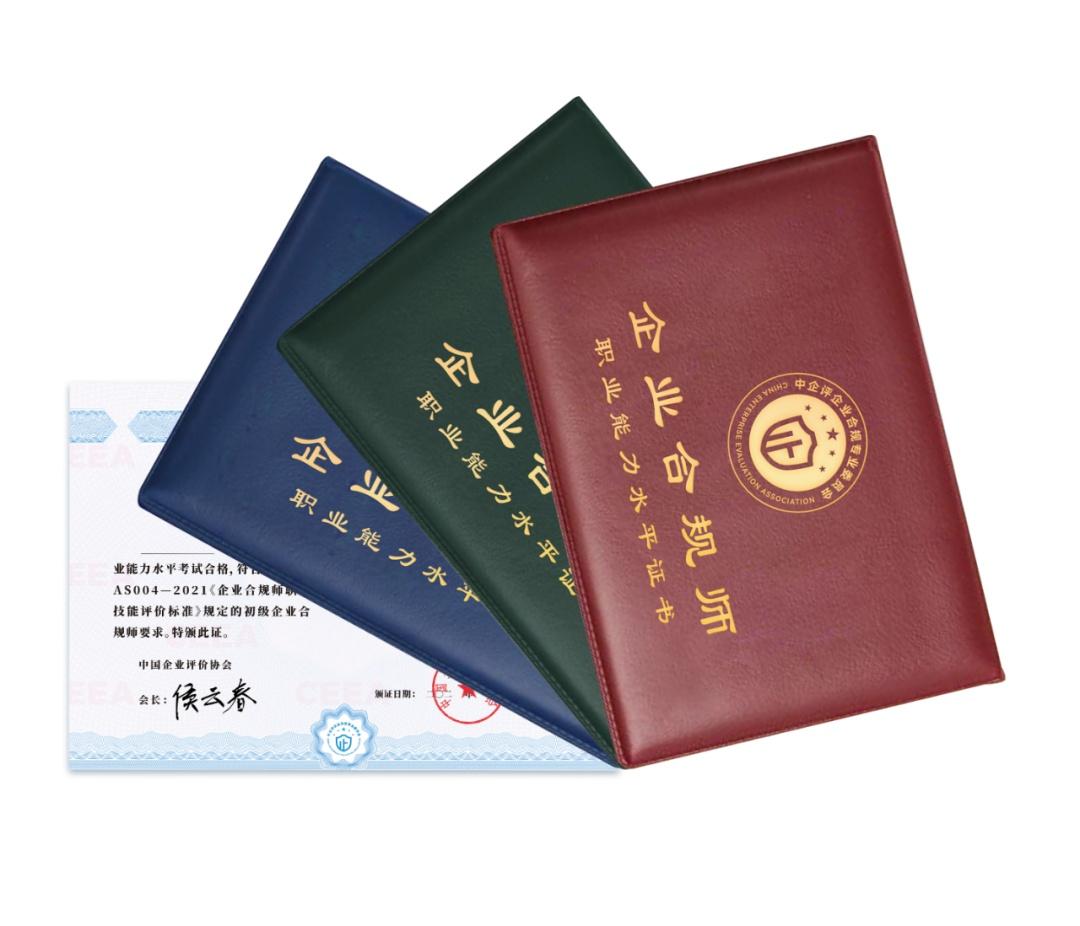 中國企業(yè)創(chuàng)新轉(zhuǎn)型與全球視野的融合最新進展