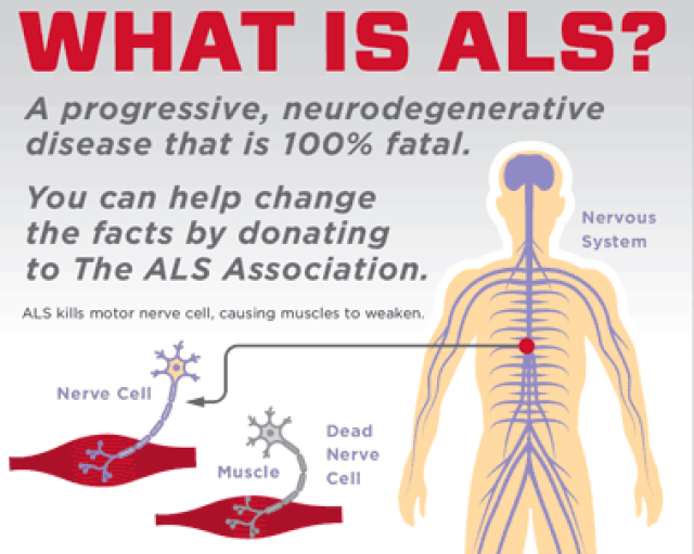 als最新研究