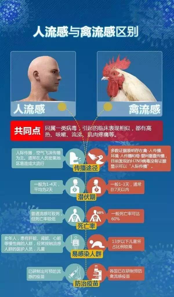 h7n9最新消息湖南